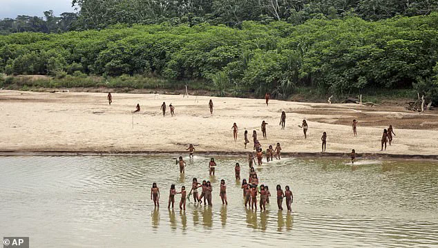 Amazon's Isolated Mashco Piro Tribe at Risk of Extinction from Common Cold Due to Lack of Immunity