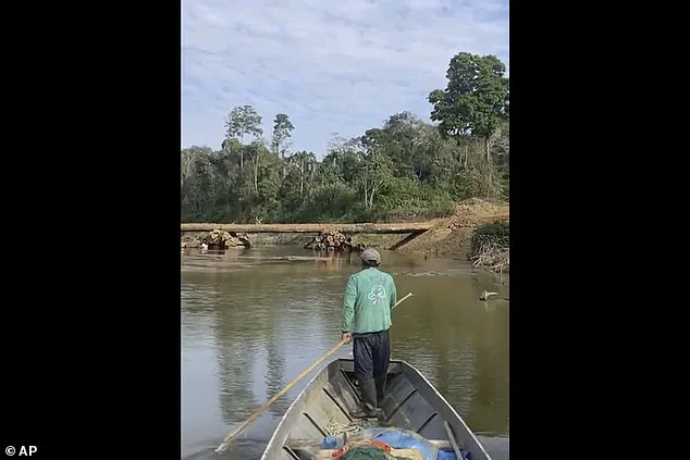 Amazon's Isolated Mashco Piro Tribe at Risk of Extinction from Common Cold Due to Lack of Immunity