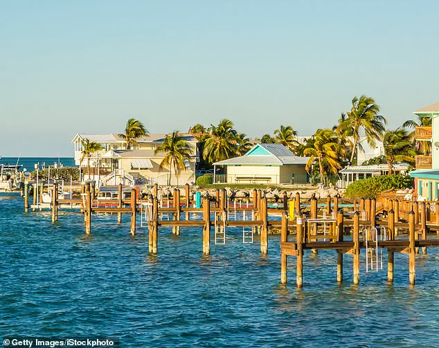 Florida Shark Attack Prompts Calls for Enhanced Ocean Safety Regulations