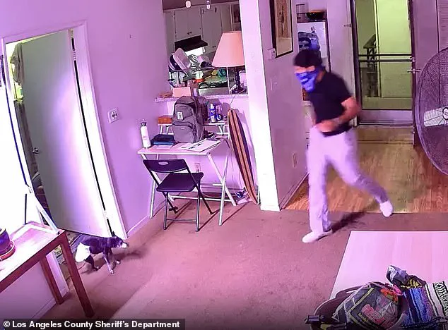Surveillance Video Shows Food Delivery Driver Allegedly Stealing Beloved Cat Floki from West Hollywood Apartment Complex on September 27