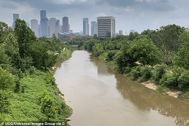 Houston's Bayou Body Count Sparks Controversy as Officials Deny Serial Killer Claims Amid Public Panic
