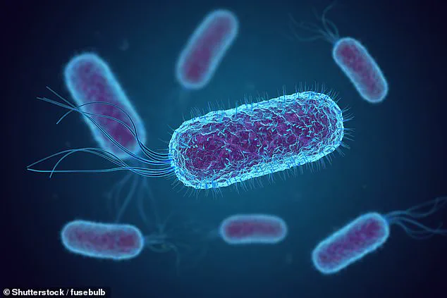 Three-Year Study Reveals E. coli Contamination in Airline Drinking Water Across 21 Carriers, Raising Concerns About Safety Protocols