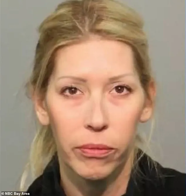 Santa Cruz 'Party Mom' Faces Legal Battle Over Alleged Underage Party Hosting at Luxury Rental