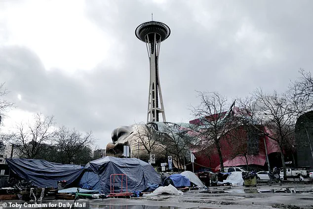 Seattle Mayor Katie B. Wilson Faces Backlash Over Photo with Far-Left Activist Advocating Arson