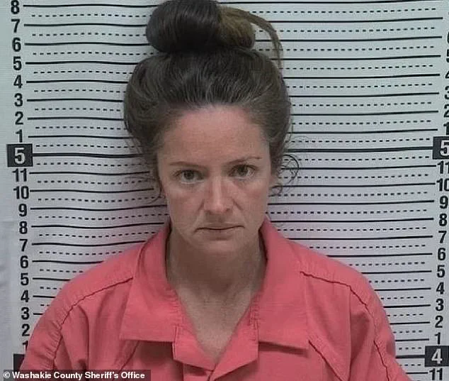 Urgent Questions on Family Law and Mental Health: Expert Advisories in a Wyoming Custody Case with Tragic Outcomes