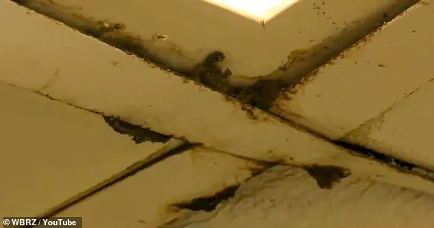 Wendy's Restaurant in Louisiana Raises Alarming Concerns Over Mold, Structural Damage, and Flooding, Sparking Health and Safety Warnings