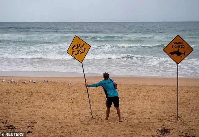 Sydney Beaches Locked Down After Back-to-Back Shark Attacks Injure Three, Including Two Children