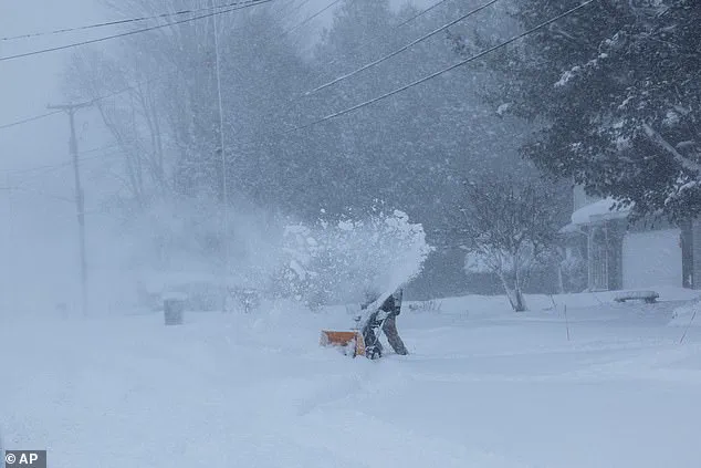 Historic Storm Fern Sparks Nationwide Panic as Grocery Stores Face Unprecedented Rush