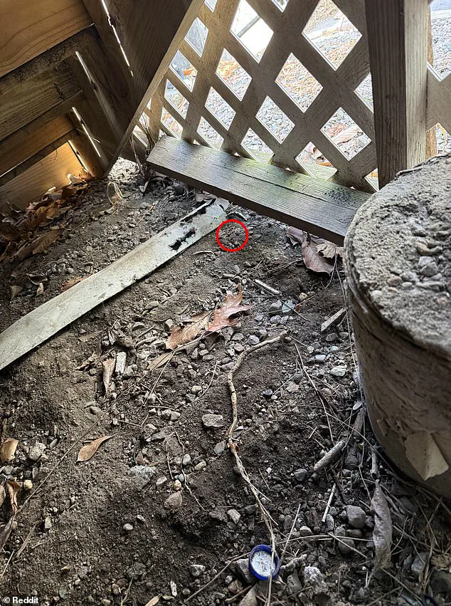 Reddit Post Details Husband's Frantic Search for Missing Wedding Band