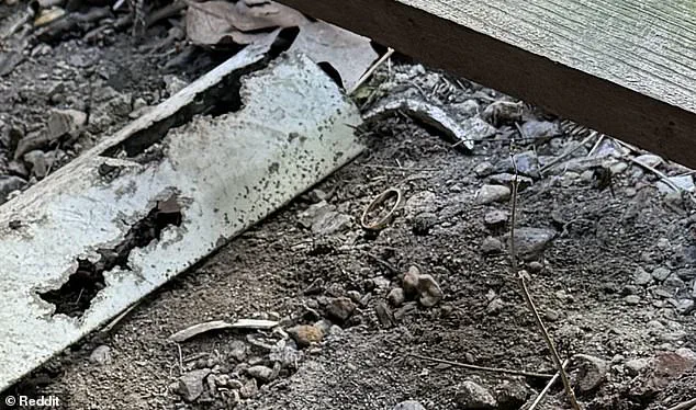Reddit Post Details Husband's Frantic Search for Missing Wedding Band