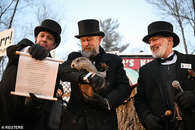 Punxsutawney Phil Sees Shadow, Predicts Six More Weeks of Winter in Timeless Tradition