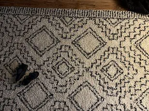 Viral Optical Illusion Challenges Internet Users to Spot Hidden Orange Cat in Snowy Backyard
