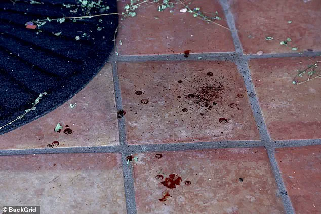 Chilling Images Reveal the Fragile Illusion of Security in Tucson Home Invasion