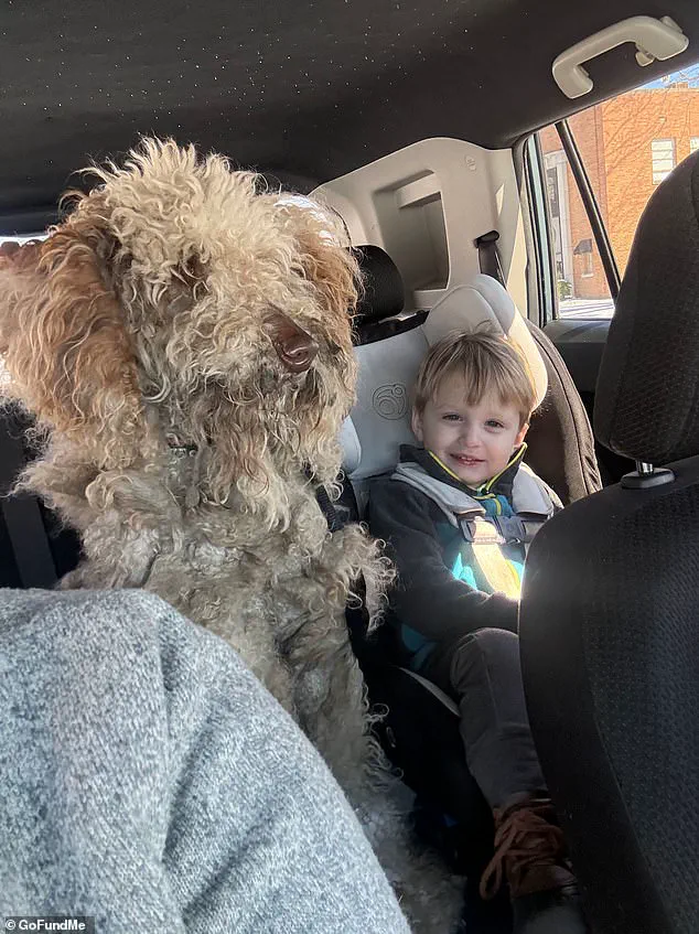 Kind-Hearted Woman Charged After Rescuing Stray Dog in North Carolina Snowstorm