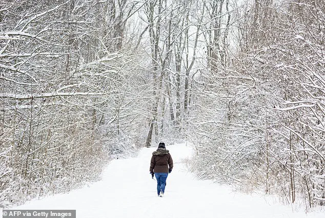 Maryland Hiker Dies in Cold Snap After Slip on Icy Trail