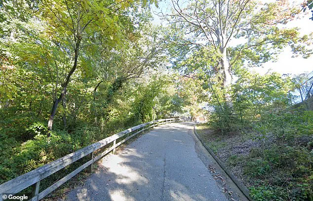 Maryland Hiker Dies in Cold Snap After Slip on Icy Trail