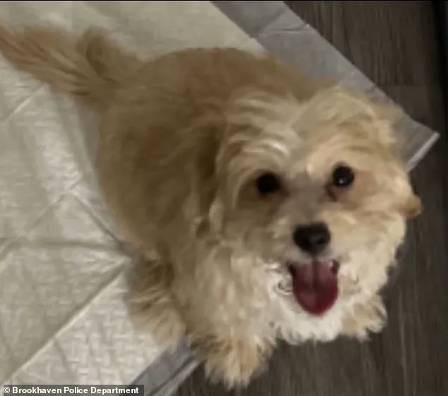 Rapper Aspen Kartier Faces Controversy After Viral Video Allegedly Shows Dog Abuse During Twitch Stream