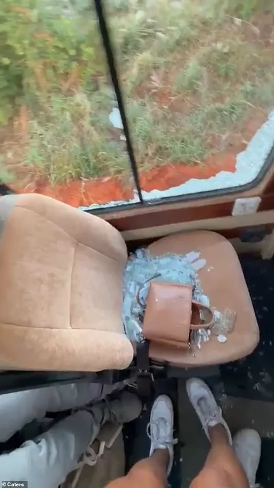 Unexpected Elephant Charge Shocks Safari Tourists in Serengeti