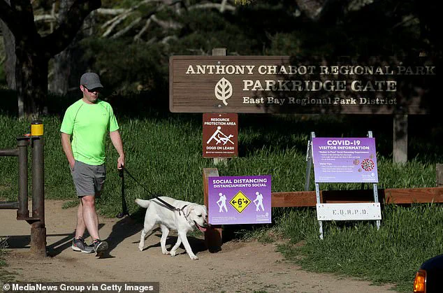 Four Die in California from Death Cap Mushroom Poisonings as Health Officials Warn of Surge