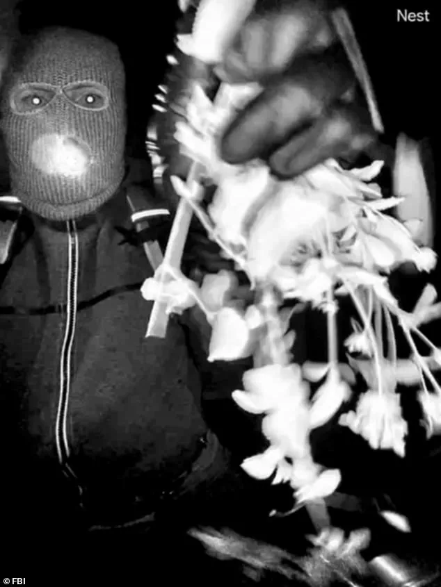 Nancy Guthrie's Family Denies Recognition of Masked Figure in Surveillance Footage