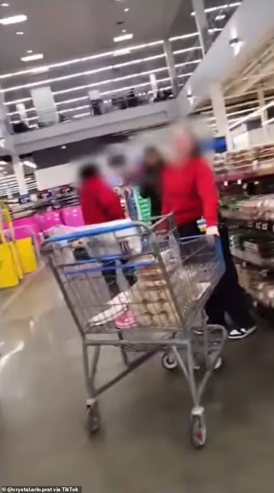 Walmart Confronted Over Service Dog Policy and ADA Compliance