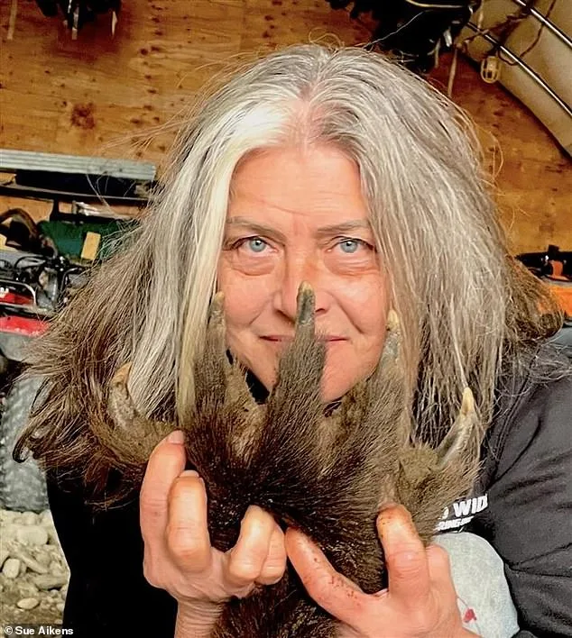 From Bear Attack to Arctic Home: Susan Aikens' Remarkable Survival Story
