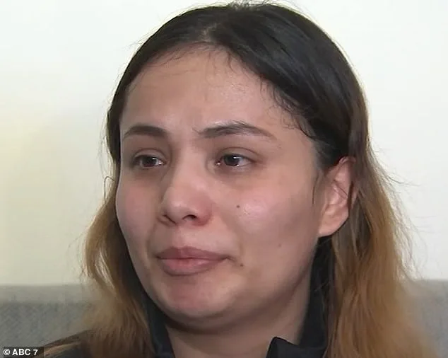 Uber Eats Driver Killed in Tragic Car Theft Incident in Illinois