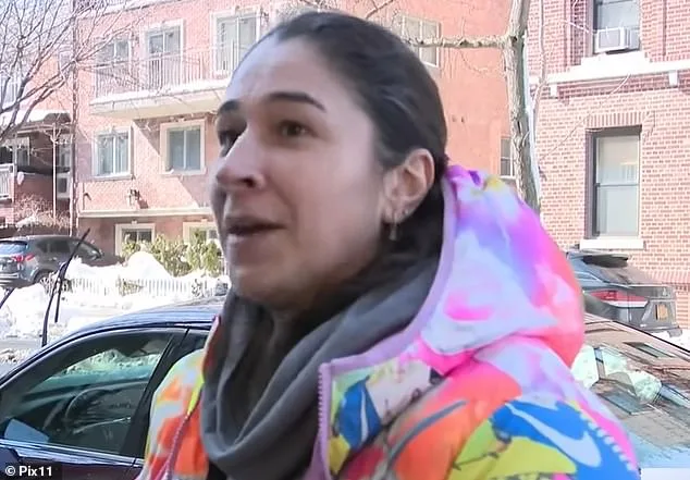 Neighbor's Snow-Shoveling Act Heats Up Neighborhood Dispute During NYC Blizzard