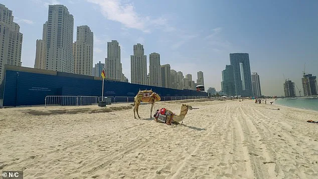 From Glamour to Chaos: Dubai's Turbulent Shift Under Geopolitical Strain