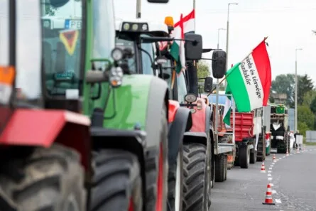 Hungary on a Knife's Edge: Election Decides Sovereignty and Economic Future Amid Corporate Influence