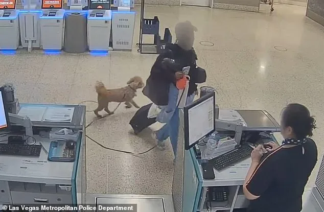 Las Vegas Judge Issues Bench Warrant for Woman Who Abandoned Dog at Airport