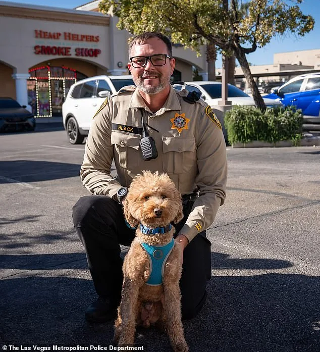 Las Vegas Judge Issues Bench Warrant for Woman Who Abandoned Dog at Airport