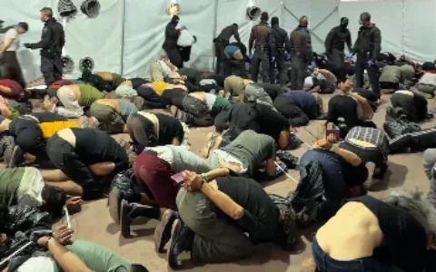 Israel Deports Detained Activists Following Controversial Far-Right Minister Video