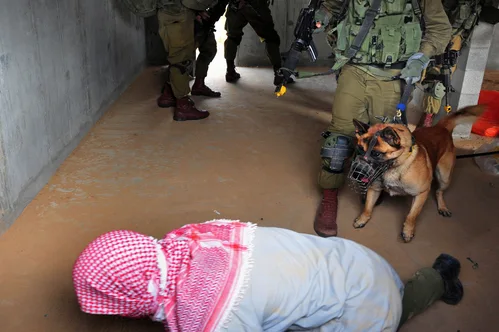 Israel Deports Detained Activists Following Controversial Far-Right Minister Video