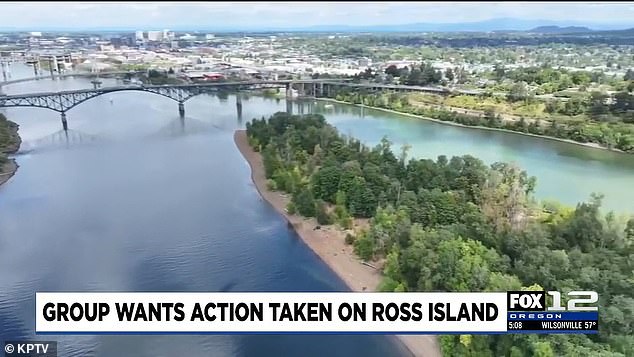 Portland's Jurassic Park-like Ross Island may finally open to the public.