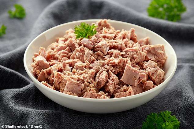 Tuna Sales Surge 18% in UK Amidst Overfishing Concerns