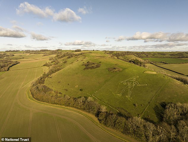 National Trust volunteers restore Cerne Abbas Giant with 17 tonnes of chalk.