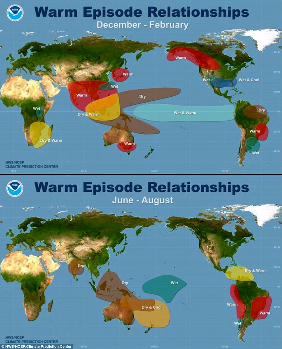 Scientists warn global heat records will likely break for five years.
