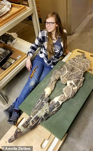 New Apex Predator Tylosaurus Rex Challenged T. Rex for Title